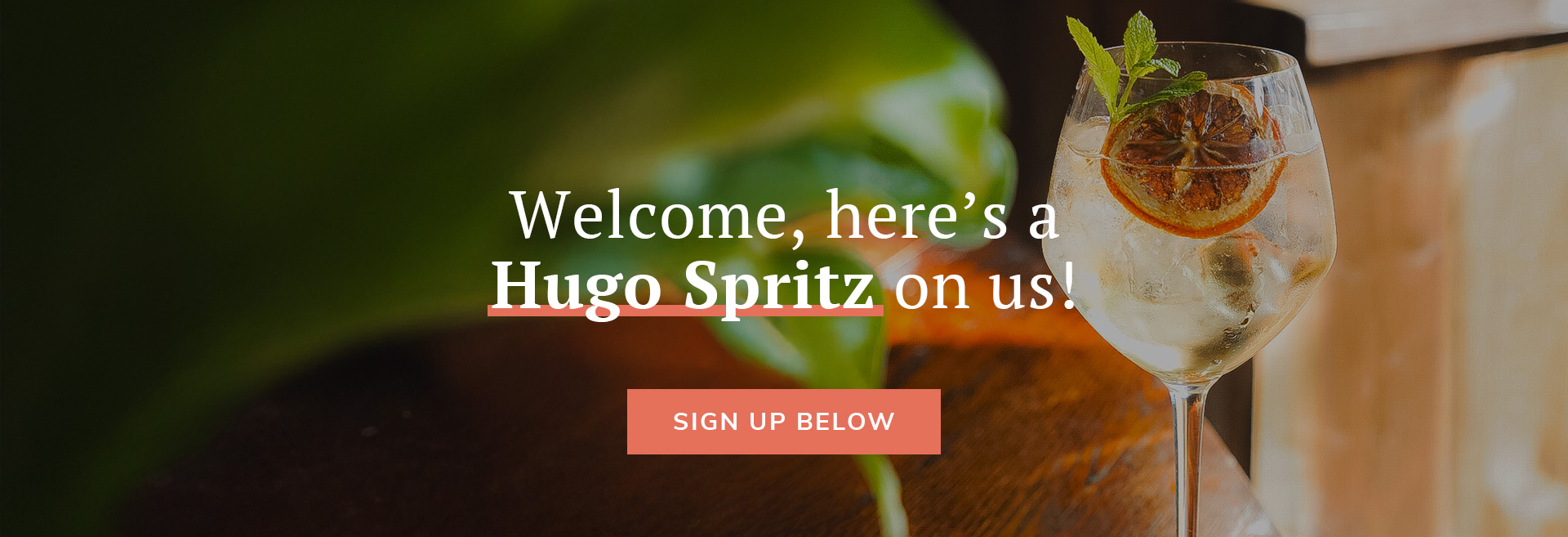 Sign up to the newsletter at The Castle Portobello